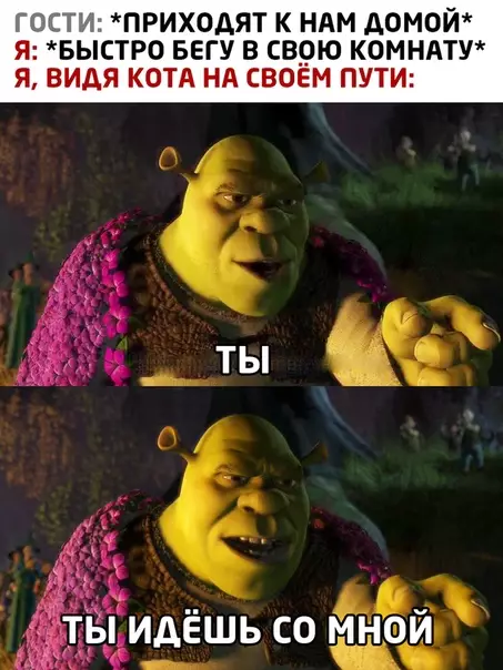 Смешная картинка №513837