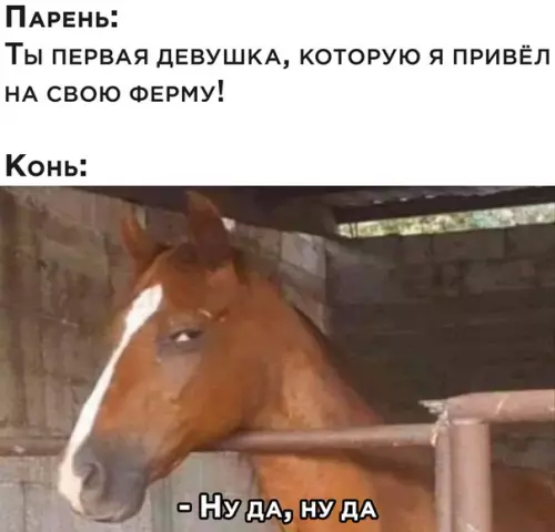 Смешная картинка №504108