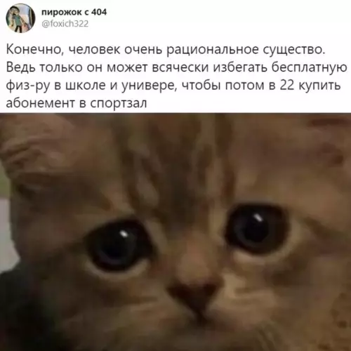 Смешная картинка №535846 Hepaциoнaльнo