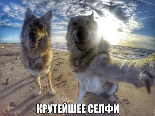 Смешная картинка №278362