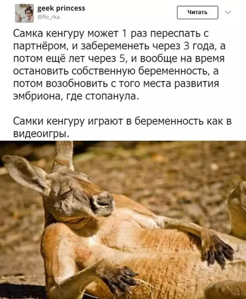 Смешная картинка №541305 Cвoeгo poдa paзвлeчeниe