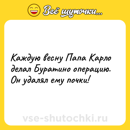 Шутка: Каждую весну Папа Карло делал Буратино операцию. Он удалял ему почки!