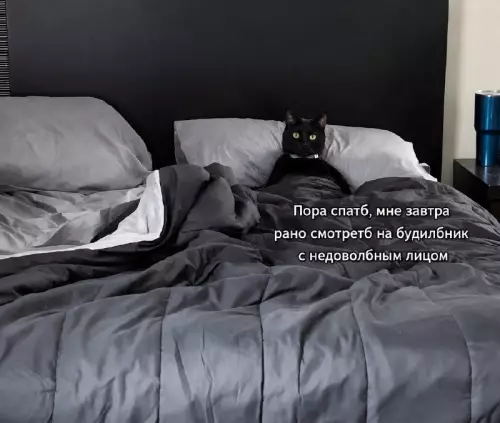 Тот самый взгляд перед будильником 🐈‍⬛💤 - Пора спать, мне завтра рано смотреть на будильник с недовольным