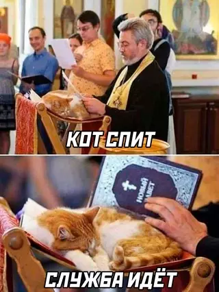 Смешная картинка №668484