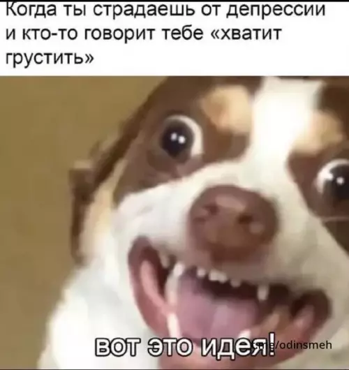 Смешная картинка №670228