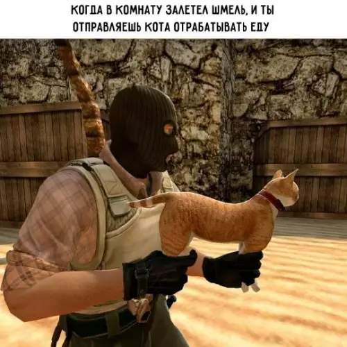 Смешная картинка №810790