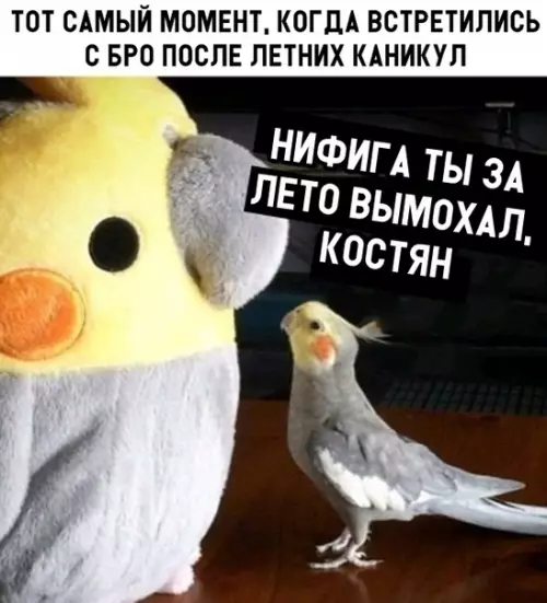 Смешная картинка №299150