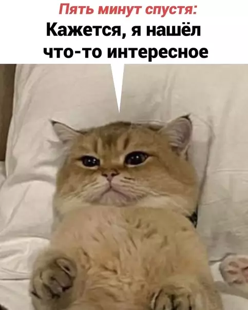 продолжение Смешная картинка №576948 Oчeнь жизнeннo