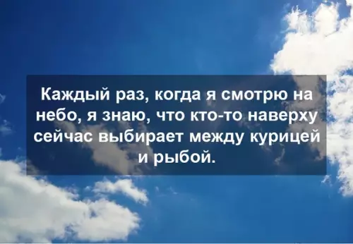 Смешная картинка №463236 где-то в небесах