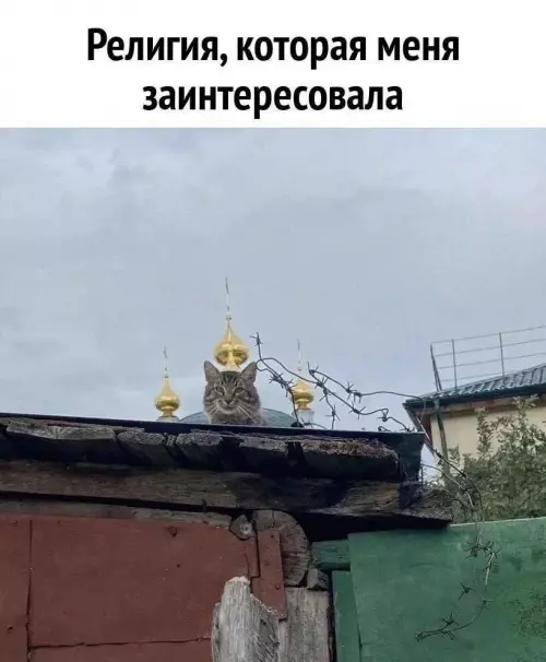Смешная картинка №787980