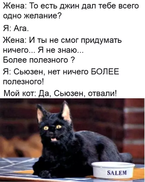 Смешная картинка №457002 Отличное желание, на говорящем коте можно заработать кучу денег