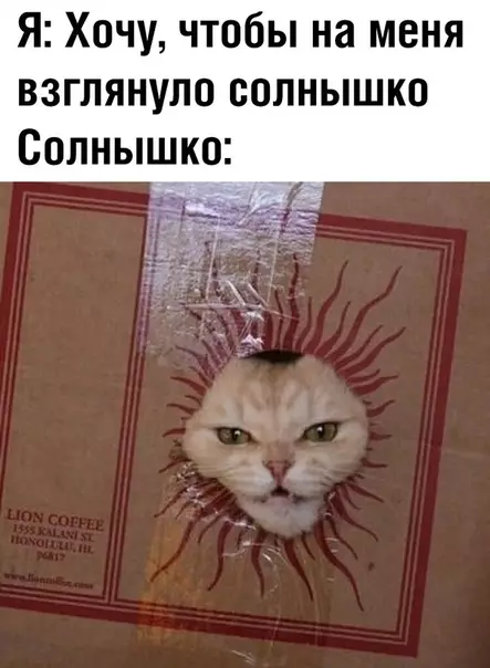 Смешная картинка №354940