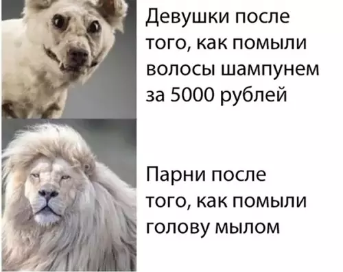 Смешная картинка №593694