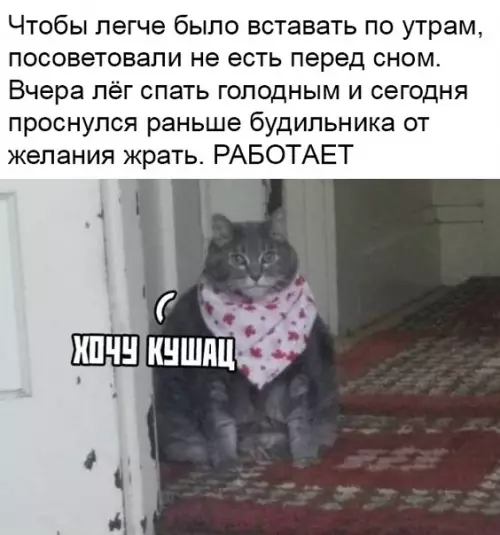 Смешная картинка №456191 Совет дня
