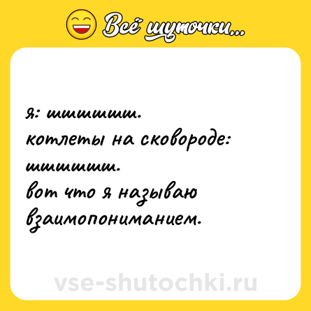 Шутка: я: шшшшшш.  <br>котлеты на сковороде: шшшшшш.  <br>вот что я называю взаимопониманием.