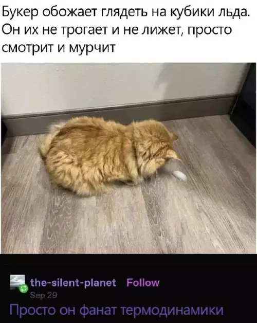 Смешная картинка №669337