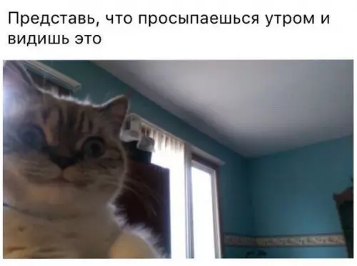 Смешная картинка №185159
