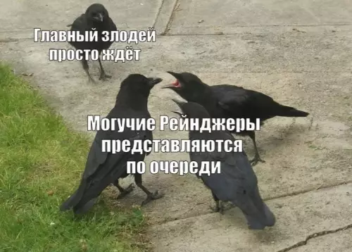 Смешные воробьи на очереди