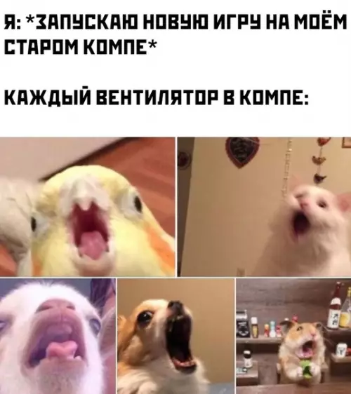 Смешная картинка №489433