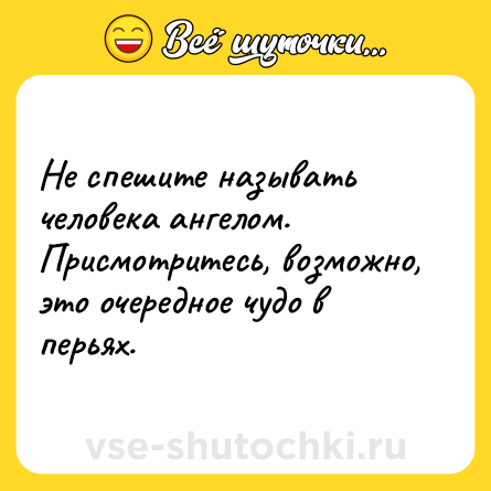 Шутка: Не спешите называть человека ангелом. Присмотритесь, возможно, это очередное чудо в перьях.