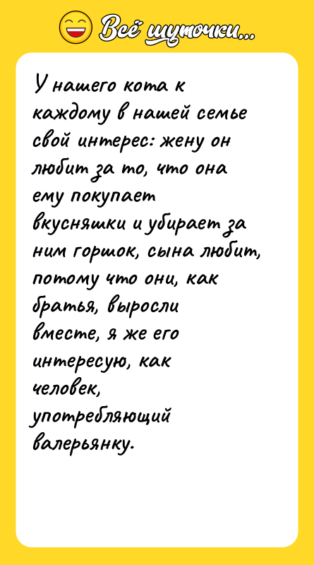 У нашего кота к каждому в нашей семье свой интерес: