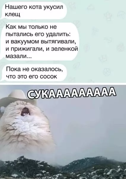 Смешная картинка №348281
