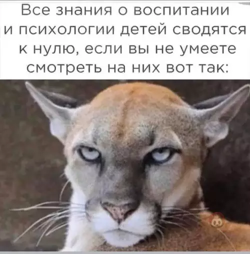 Смешная картинка №520335 Вот уж точно!