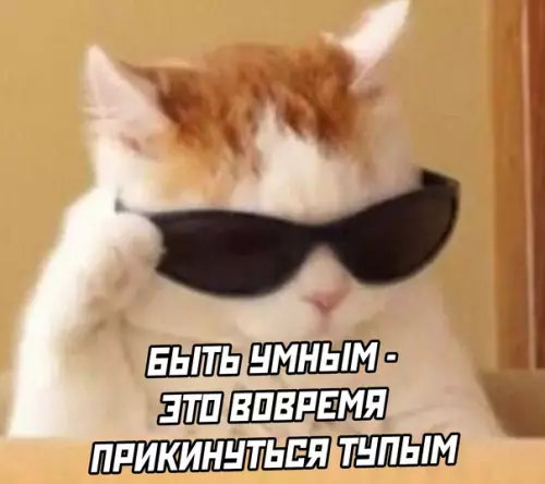 продолжение Смешная картинка №621922