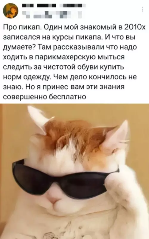 Смешная картинка №773204 Секрет раскрыт