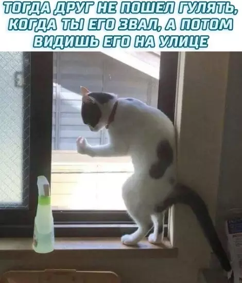 Смешная картинка №313640