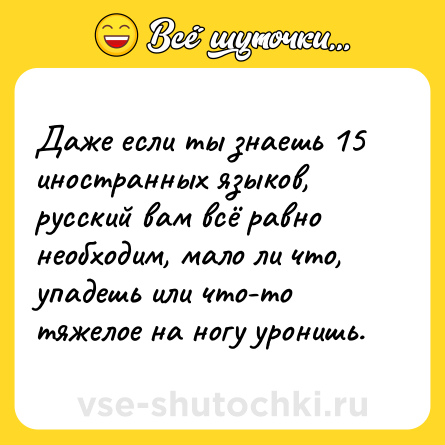 Шутка: Даже если ты знаешь 15 иностранных языков, русский вам всё равно необходим, мало ли что, упадешь или что-то тяжелое на ногу уронишь.