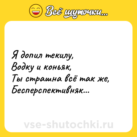 Шутка: Я допил текилу,<br>Водку и коньяк,<br>Ты страшна всё так же,<br>Бесперспективняк...