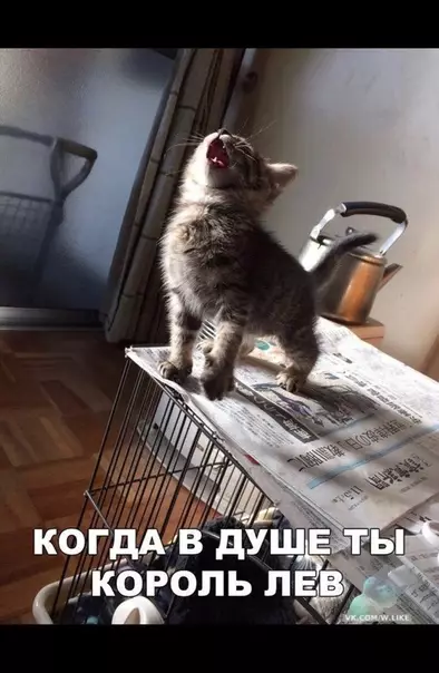 Смешная картинка №358434