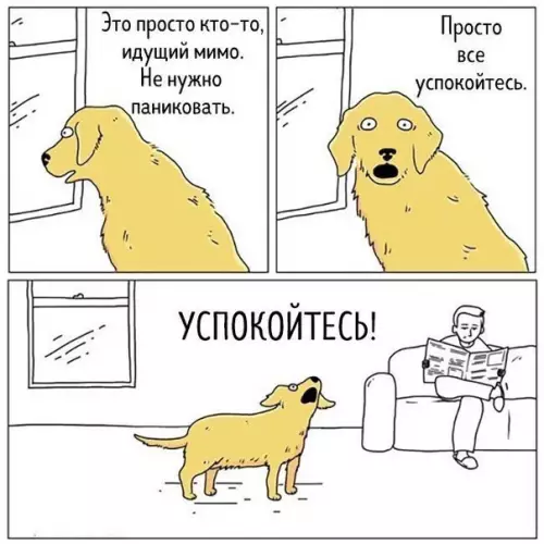 Смешная картинка №226282 собаки