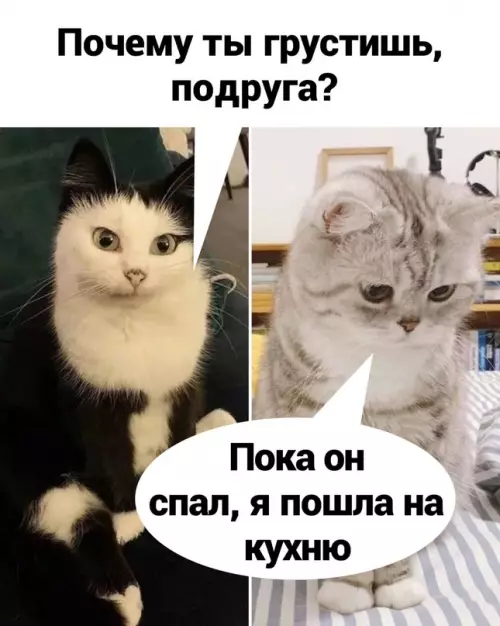 Смешная картинка №686413