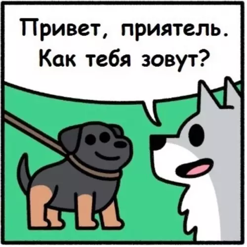 Смешная картинка №572358 Совпадение? Не думаю