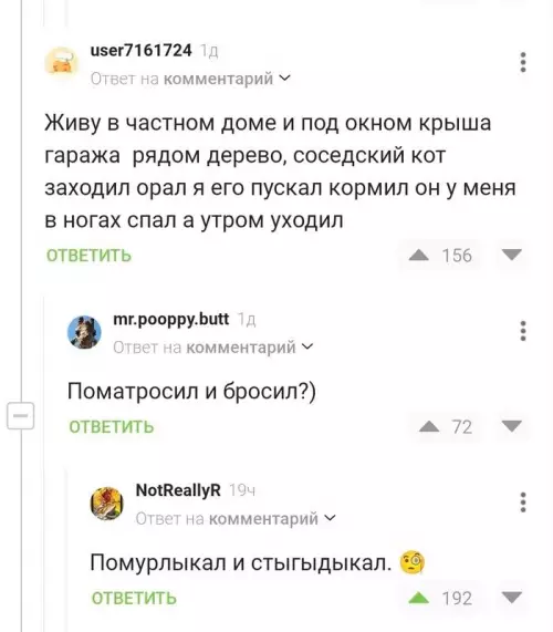 Смешная картинка №709078 коты