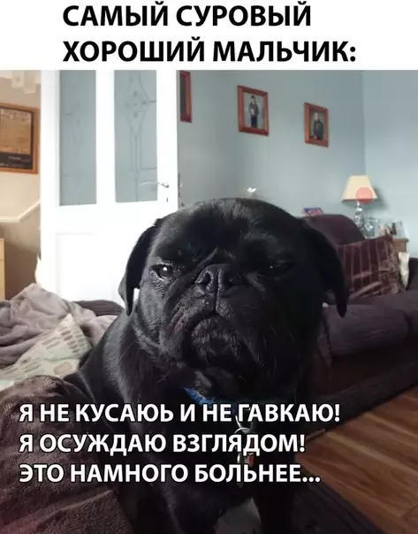 Смешная картинка №296030