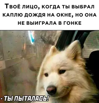 Смешная картинка №661039