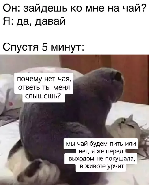 Смешная картинка №530713