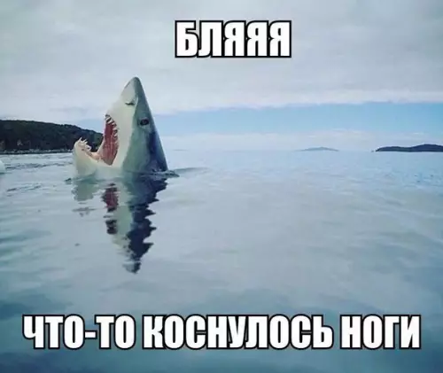 Смешная картинка №179721