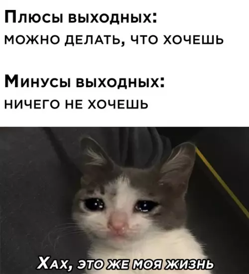 Смешная картинка №567390