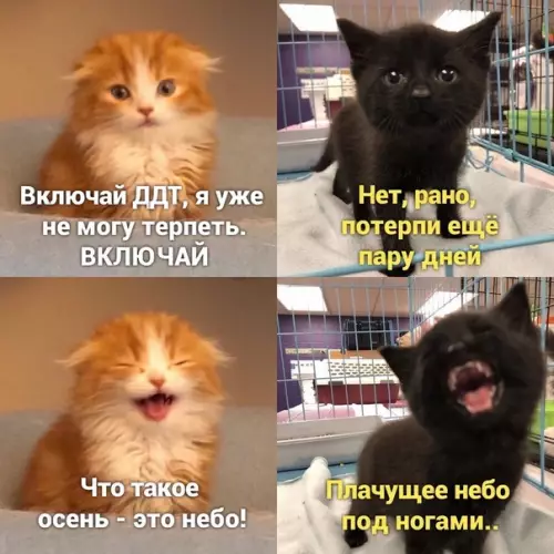 Смешная картинка №514581