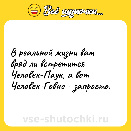 Шутка: В реальной жизни вам вряд ли встретится Человек-Паук, а вот Человек-Говно - запросто.