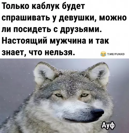 Смешная картинка №660492