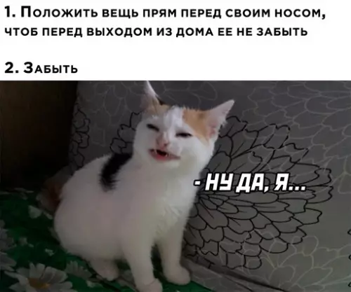 Смешная картинка №714042