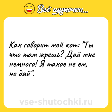 Шутка: Как говорит мой кот: "Ты что там жрешь? Дай мне немного! Я такое не ем, но дай".