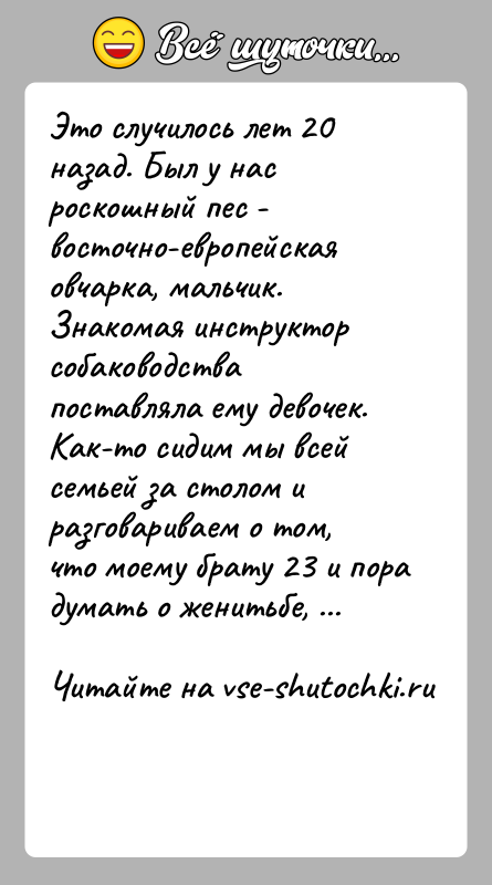 История: Это случилось лет 20 назад. Был у нас роскошный пес -восточно-европейская овчарка, мальчик. Знакомая инструктор собаководствапоставляла ему девочек. Как-то сидим