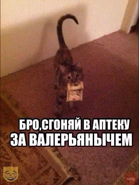 Смешная картинка №324097