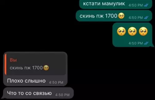 Смешная картинка №729849 Не скинет Переписка